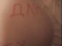 سگ در ماسک سکی عربی  ...