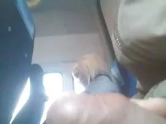 نگاه صبح با زیبایی و ...